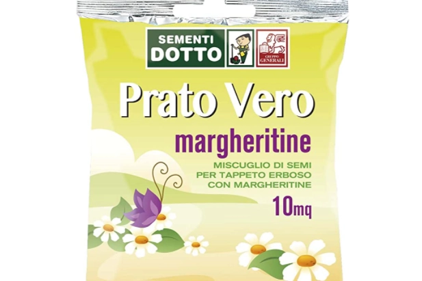 Prato Margheritine su amazon.com