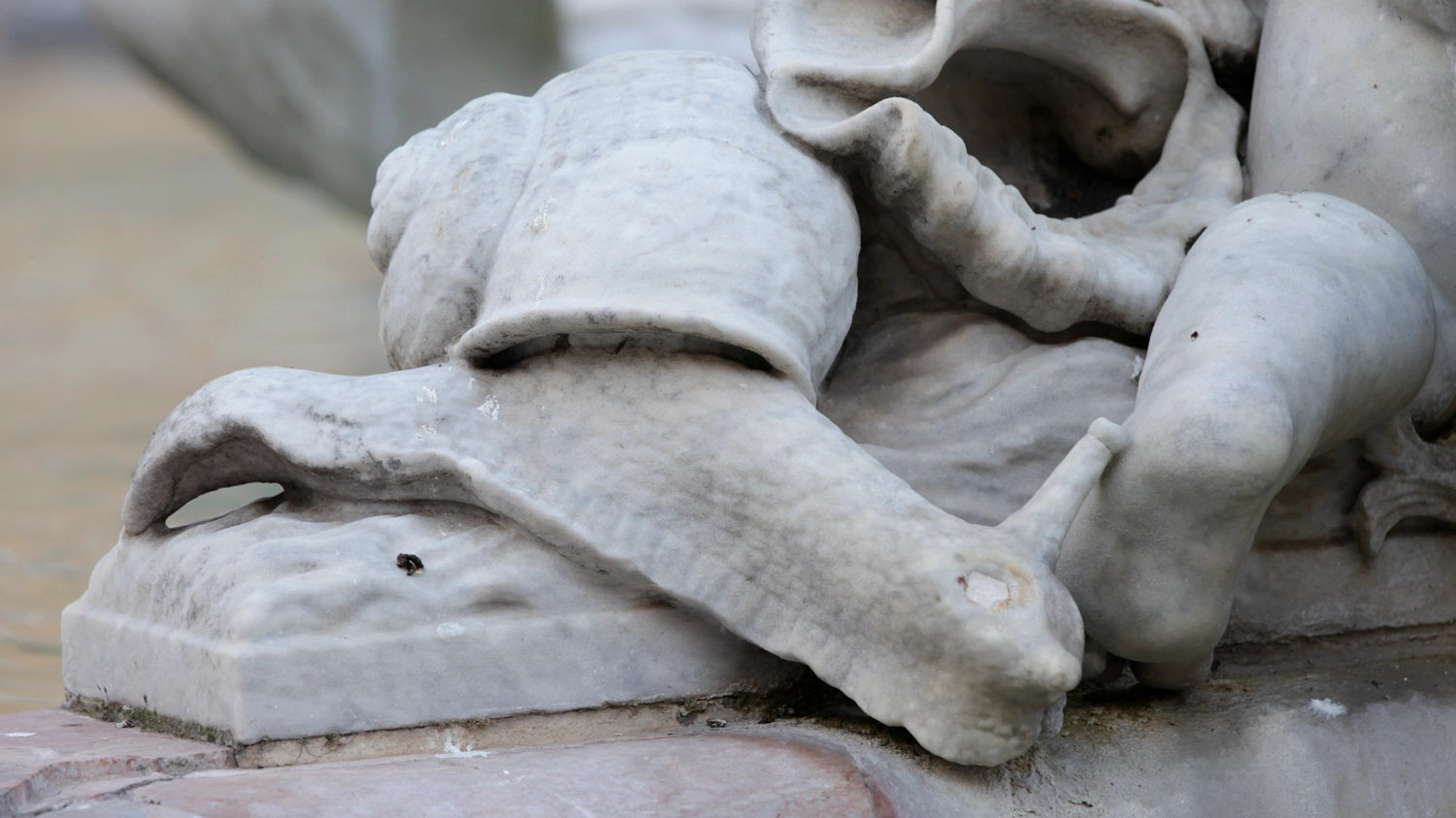 Animali di pietra nelle fontane di Roma (Foto L.Gallitto)