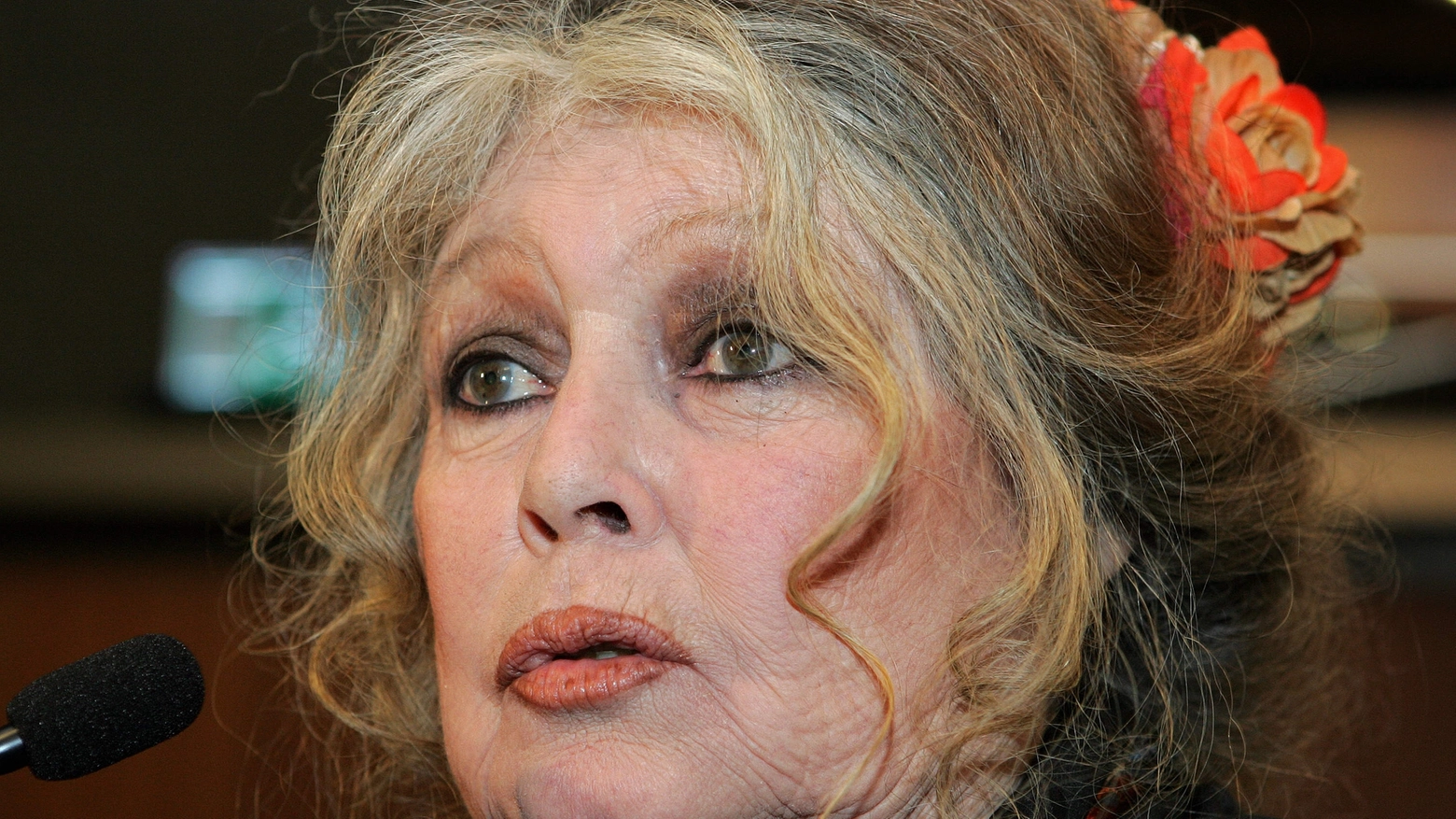 Brigitte Bardot, 83 anni: "Mai subito molestie" (Afp)