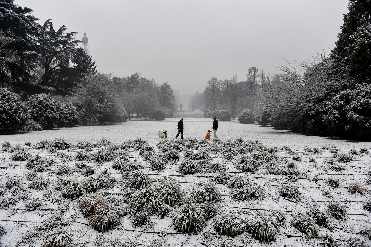 Milano, la neve al Parco Sempione (Lapresse)