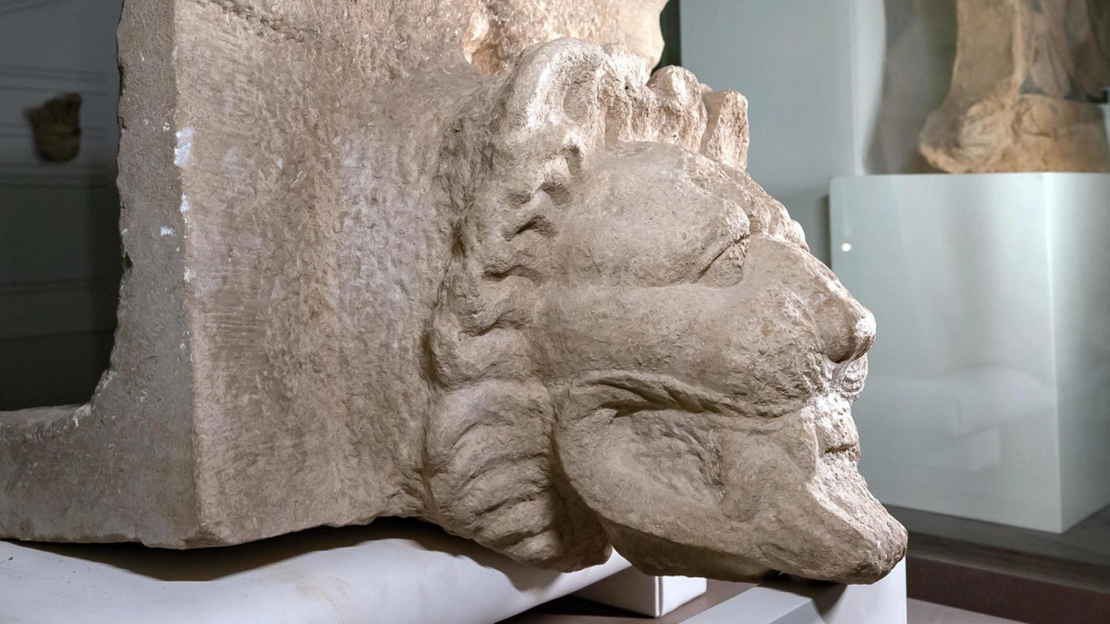 Scoperta a Selinunte  una rara testa di leone  in marmo greco