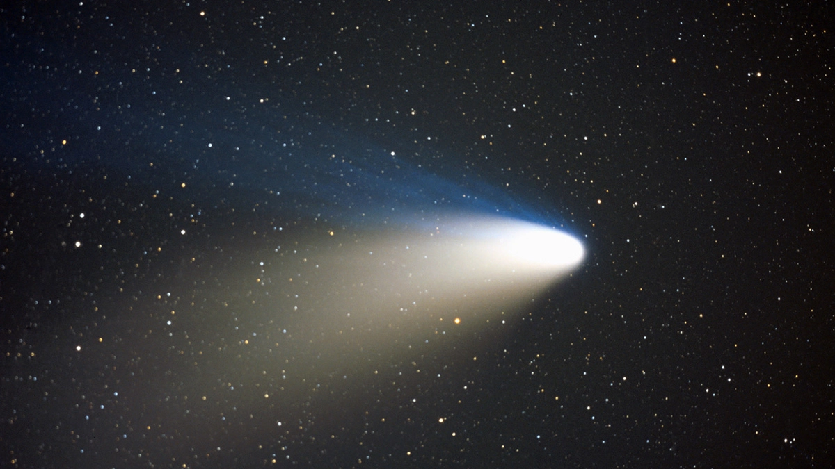 Le comete hanno tutte un "parente" comune?
