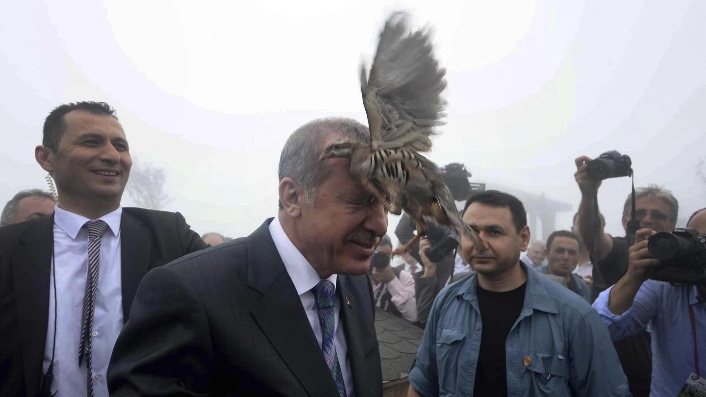 Erdogan beccato in testa da una pernice (Ansa)