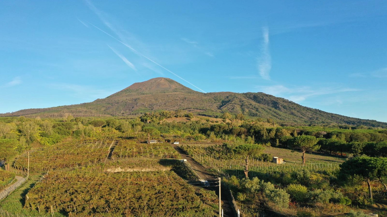 All’ombra del Vesuvio Il vino di Pompei da uve autoctone