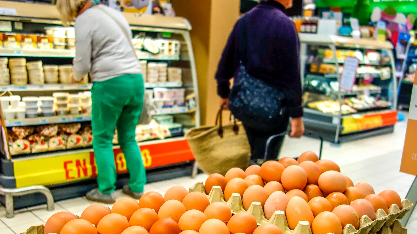 Uova in vendita in un supermercato francese (Afp)