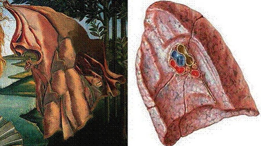 Il mantello dipinto da Botticelli nella 'Venere' riproduce l’anatomia di un polmone (Ansa)