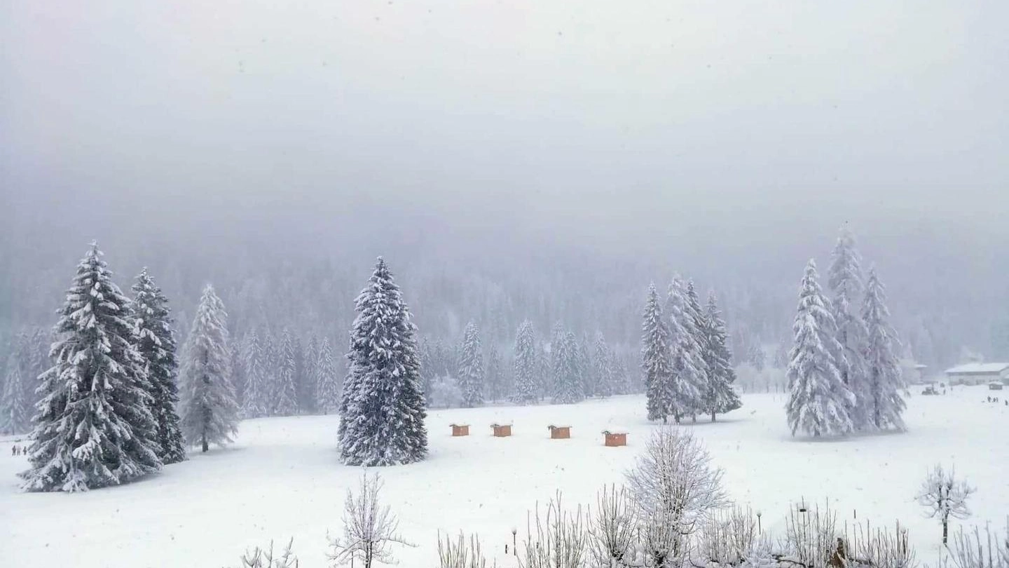 Meteo, l'ultima nevicata a Falcade, sulle Dolomiti bellunesi (Ansa)