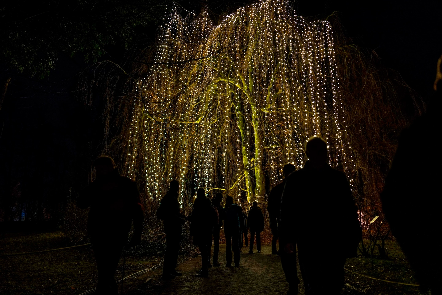 Alberi illuminati nel giardino di Natale di Berlino (Afp)