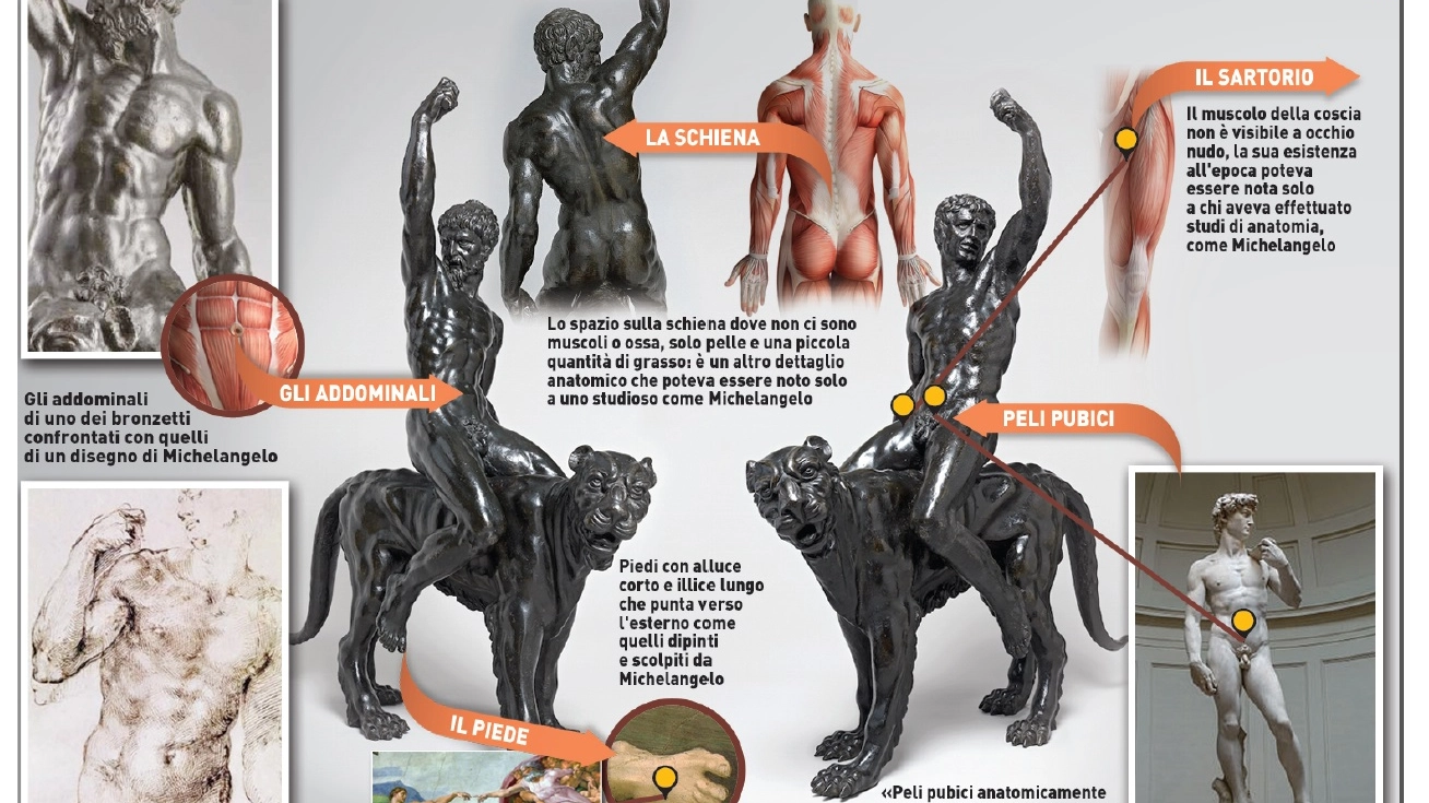 I bronzetti e i modelli anatomici di riferimento (QN)