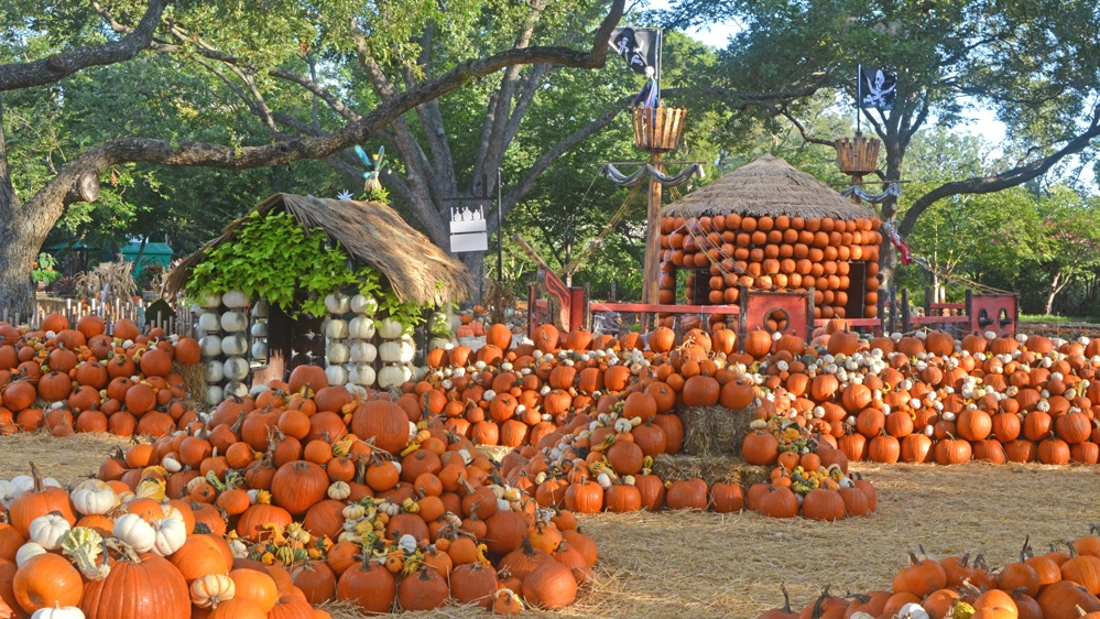 Il Pumpkin Village, costruito con 90mila zucche - Foto: www.dallasarboretum.org