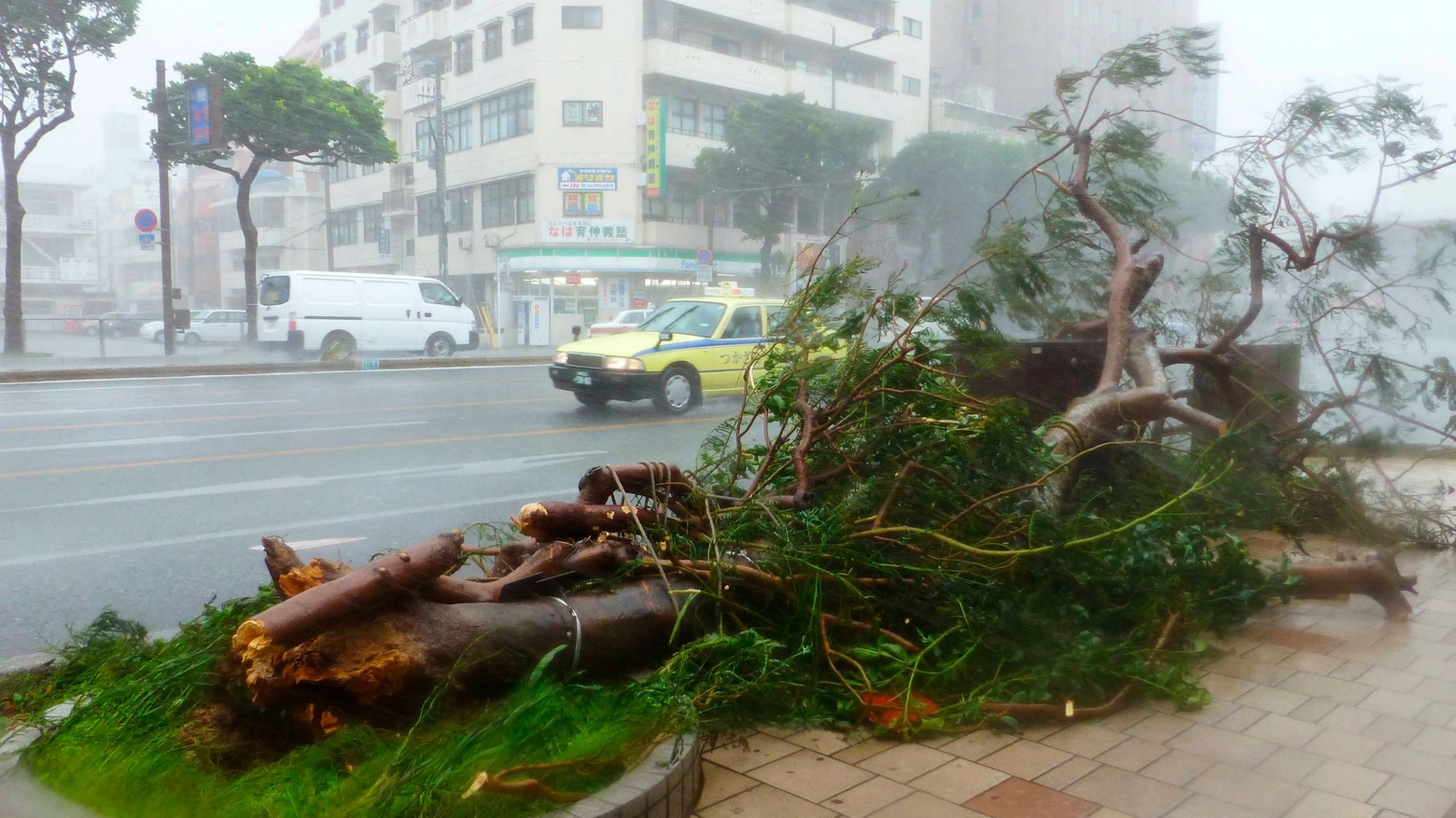 I danni del tifone Neoguri