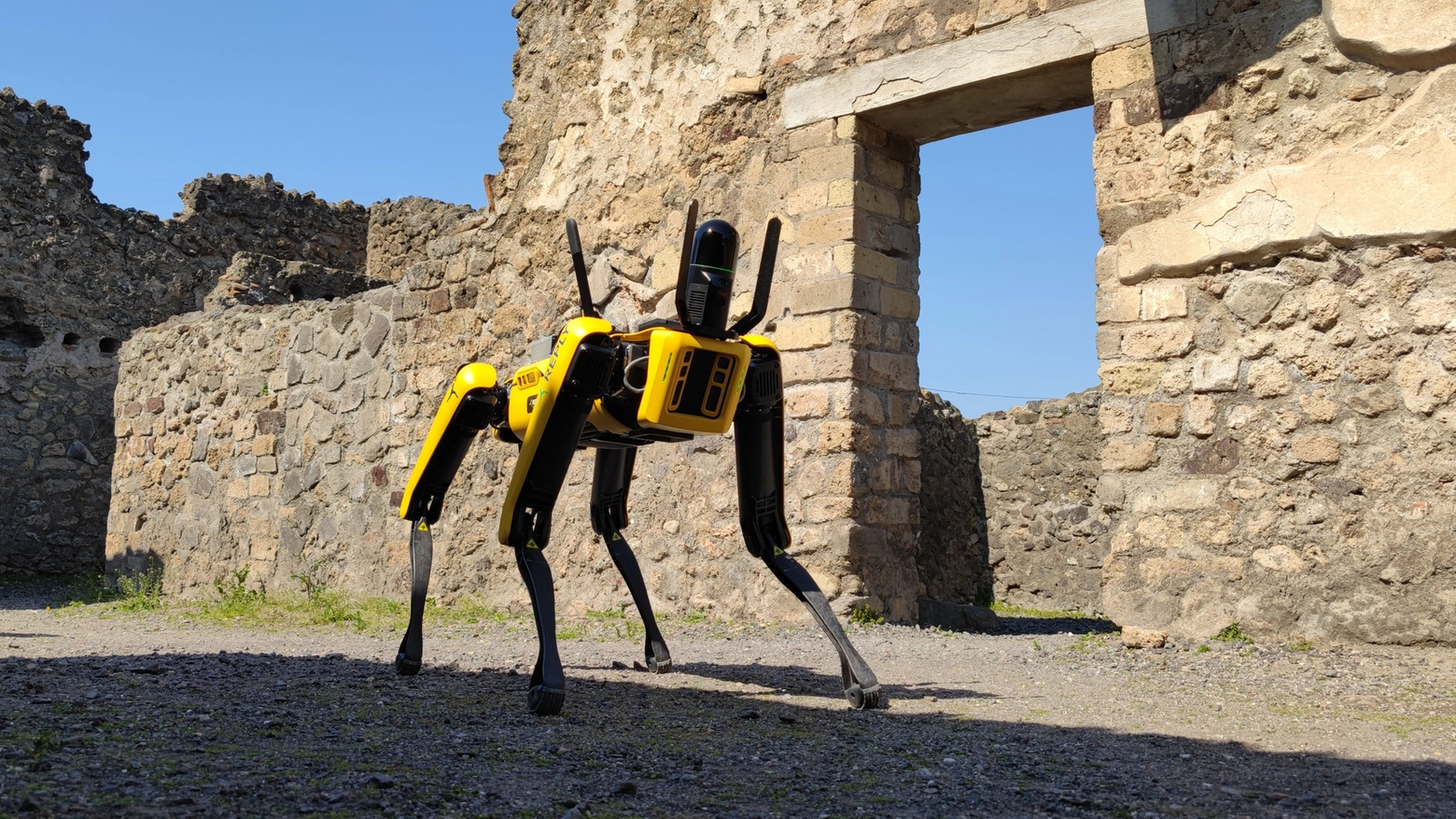 Spot, il cane robot  a Pompei 