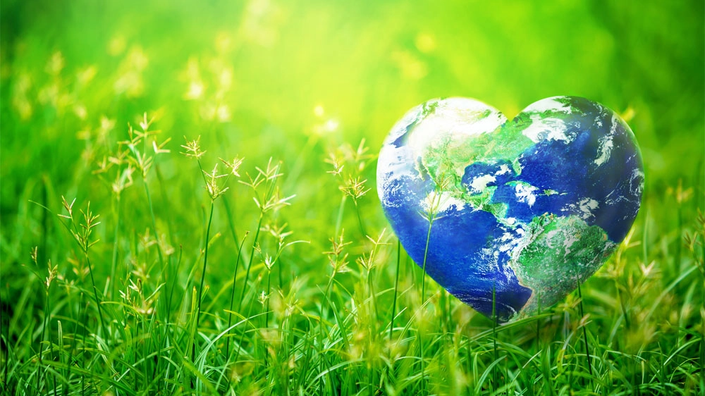 Un mondo green è fondamentale