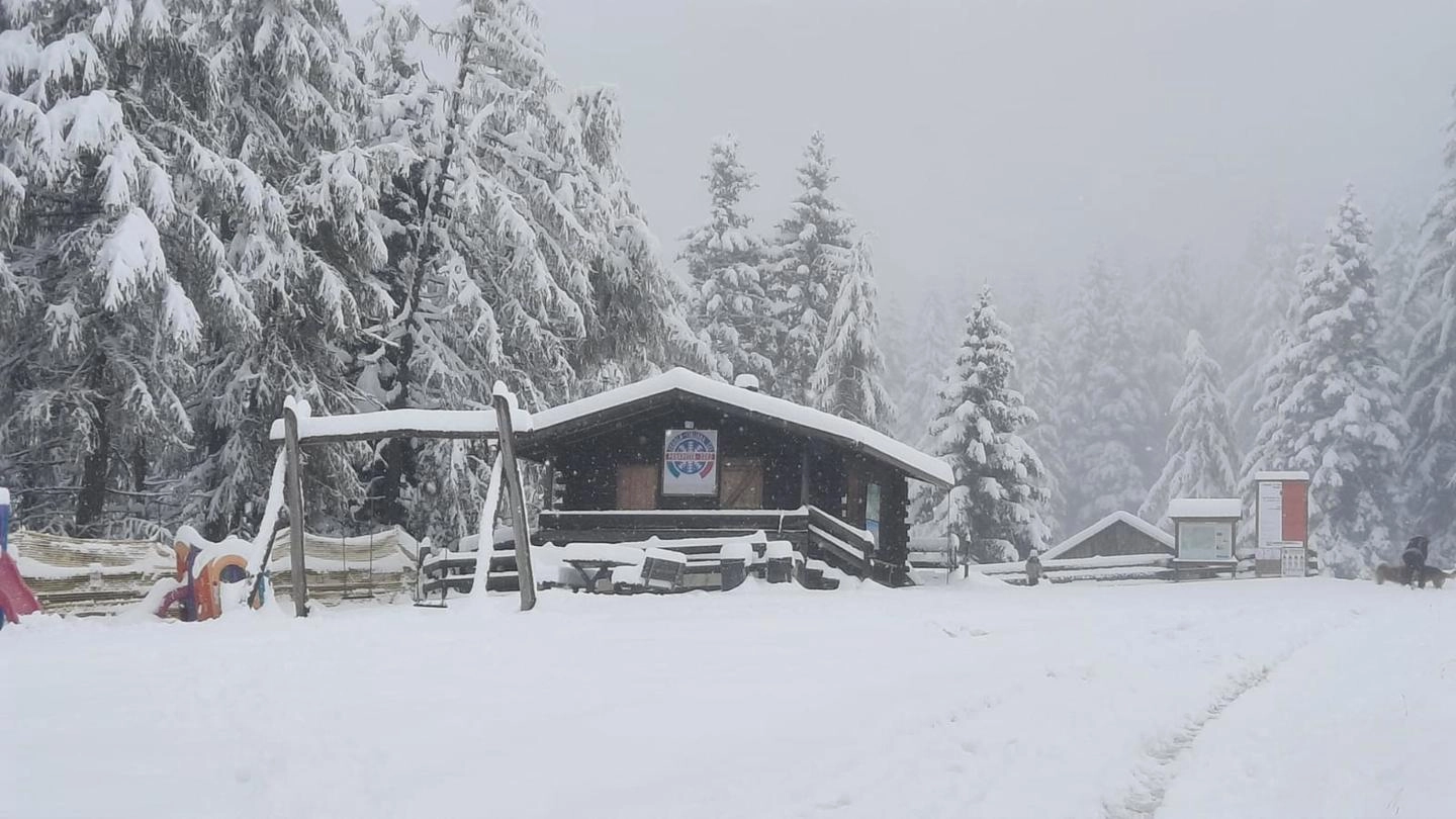 Meteo, la neve in Trentino l'11 ottobre (Ansa)