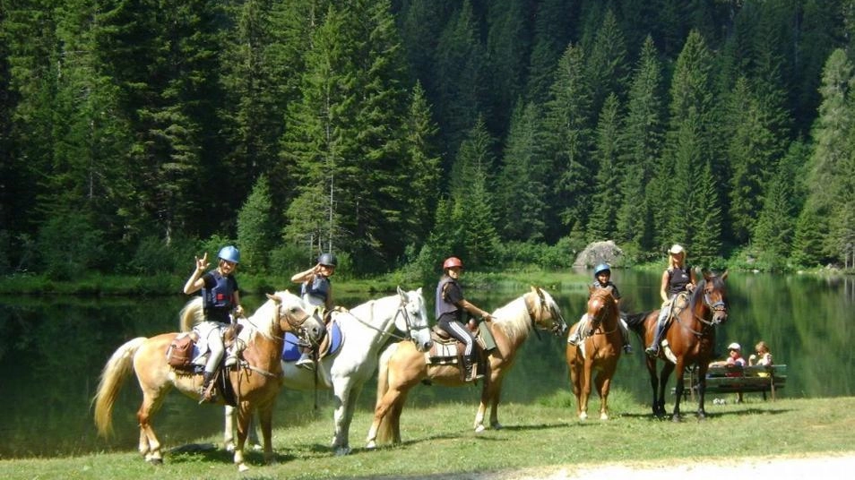 Trekking a cavallo in Trentino