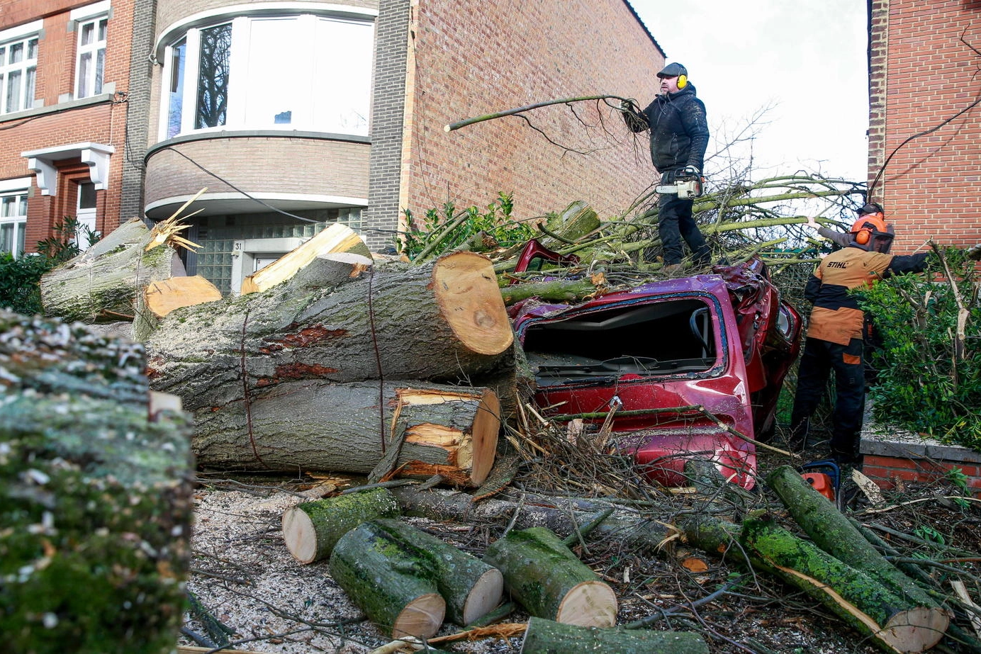 Alberi abbattuti e danni in Belgio per la tempesta Ciara (foto Ansa)