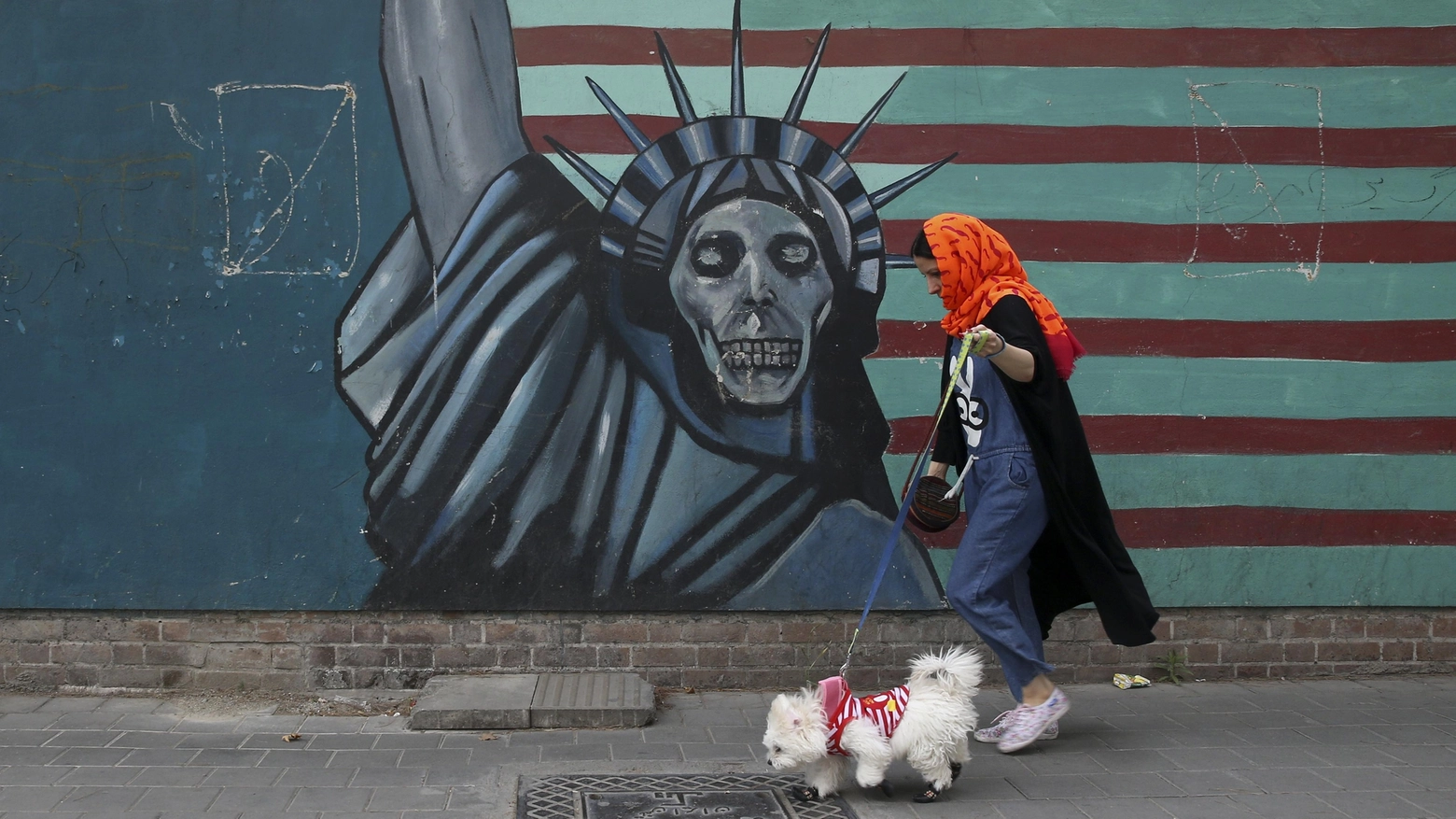 Una donna porta a passeggio un cane a Teheran (Ansa)