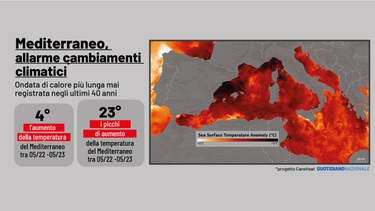 Mediterraneo e temperatura dell’acqua, nuovo allarme: tra 2022 e 2023 l’ondata di calore più lunga degli ultimi 40 anni. Cosa c’entra il vento