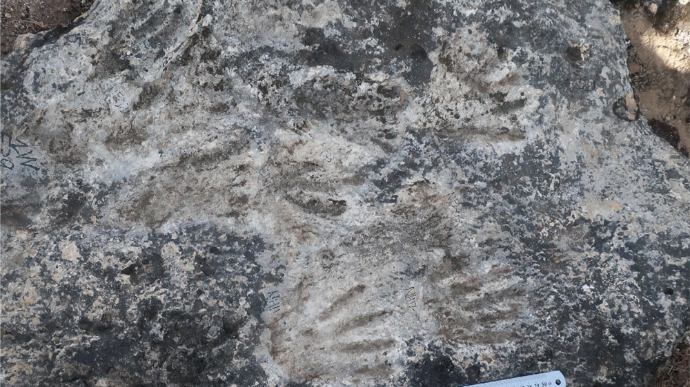 Impronte nella pietra (Foto: Zhang et al., Science Bulletin, 2021)