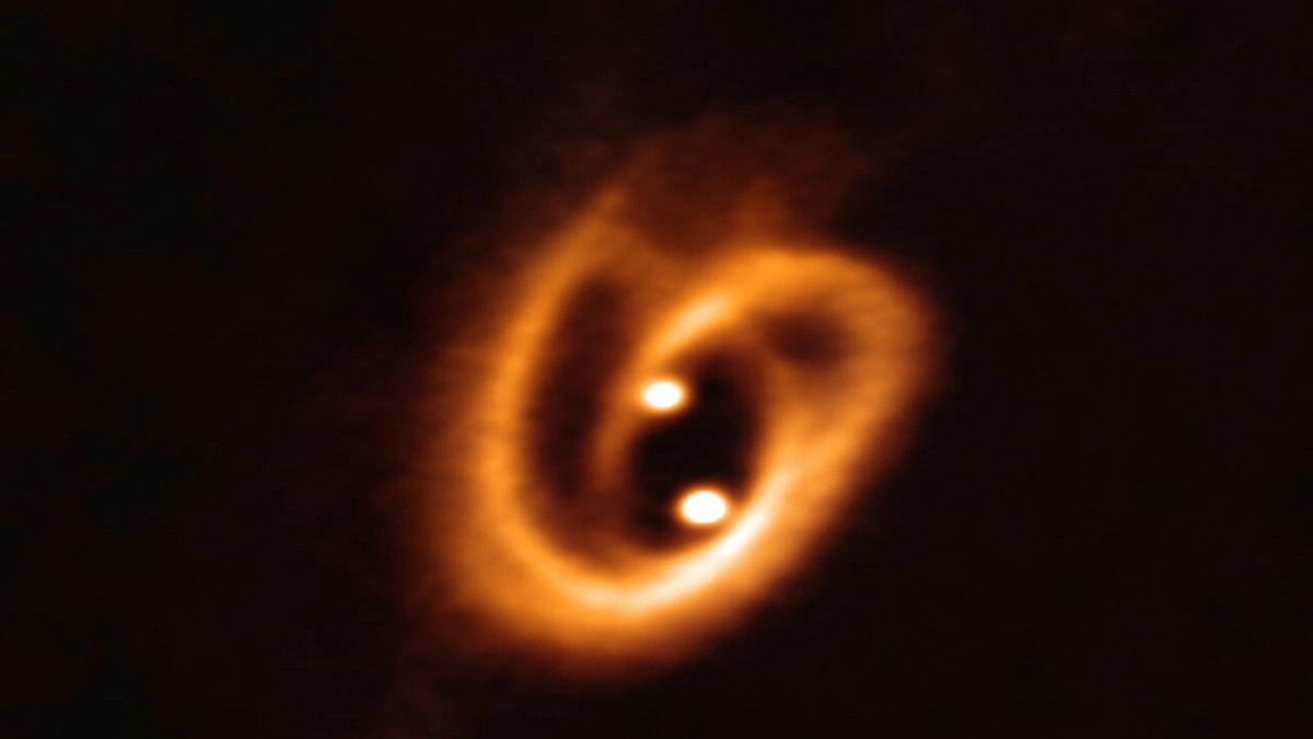 Il giovane sistema binario (Foto: ALMA (ESO/NAOJ/NRAO), Alves et al.)