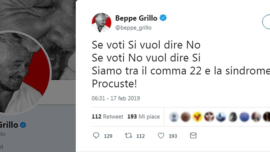Il tweet di Grillo (Ansa)