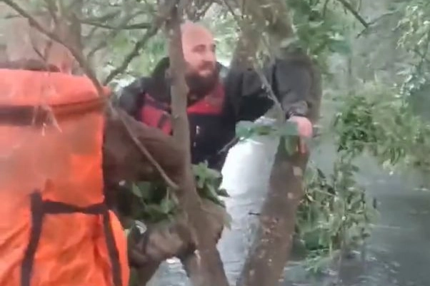 Soldati russi sugli alberi dopo il crollo della diga