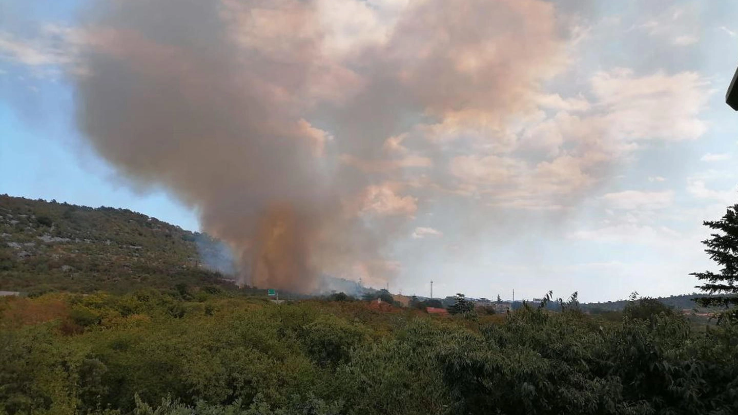 Incendio sul Carso, nella zona di Duino (Ansa)
