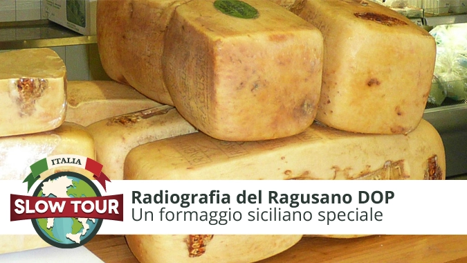 Radiografia del formaggio Ragusano DOP!