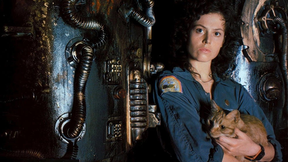 Una scena del film 'Alien' – Foto: 20th Century Fox