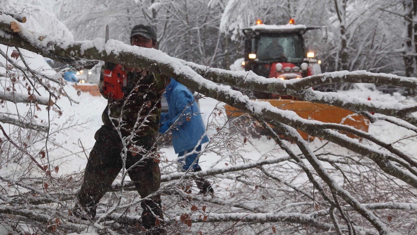 Alberi abbattuti a causa di neve e vento. Uomini e mezzi al lavoro (La Presse)