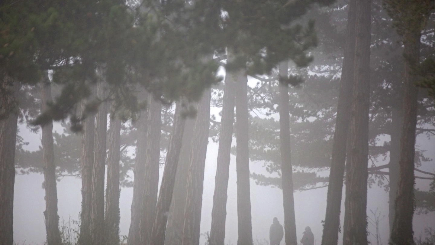 Previsioni meteo, nebbia in vista dopo il blitz freddo dell'Epifania (foto Ansa)