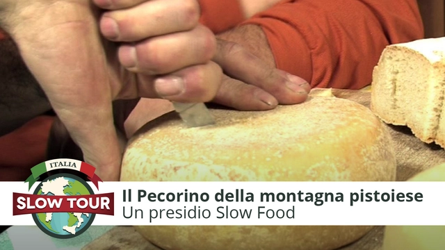 Montagna pistoiese: Il pecorino toscano presidio Slow Food 