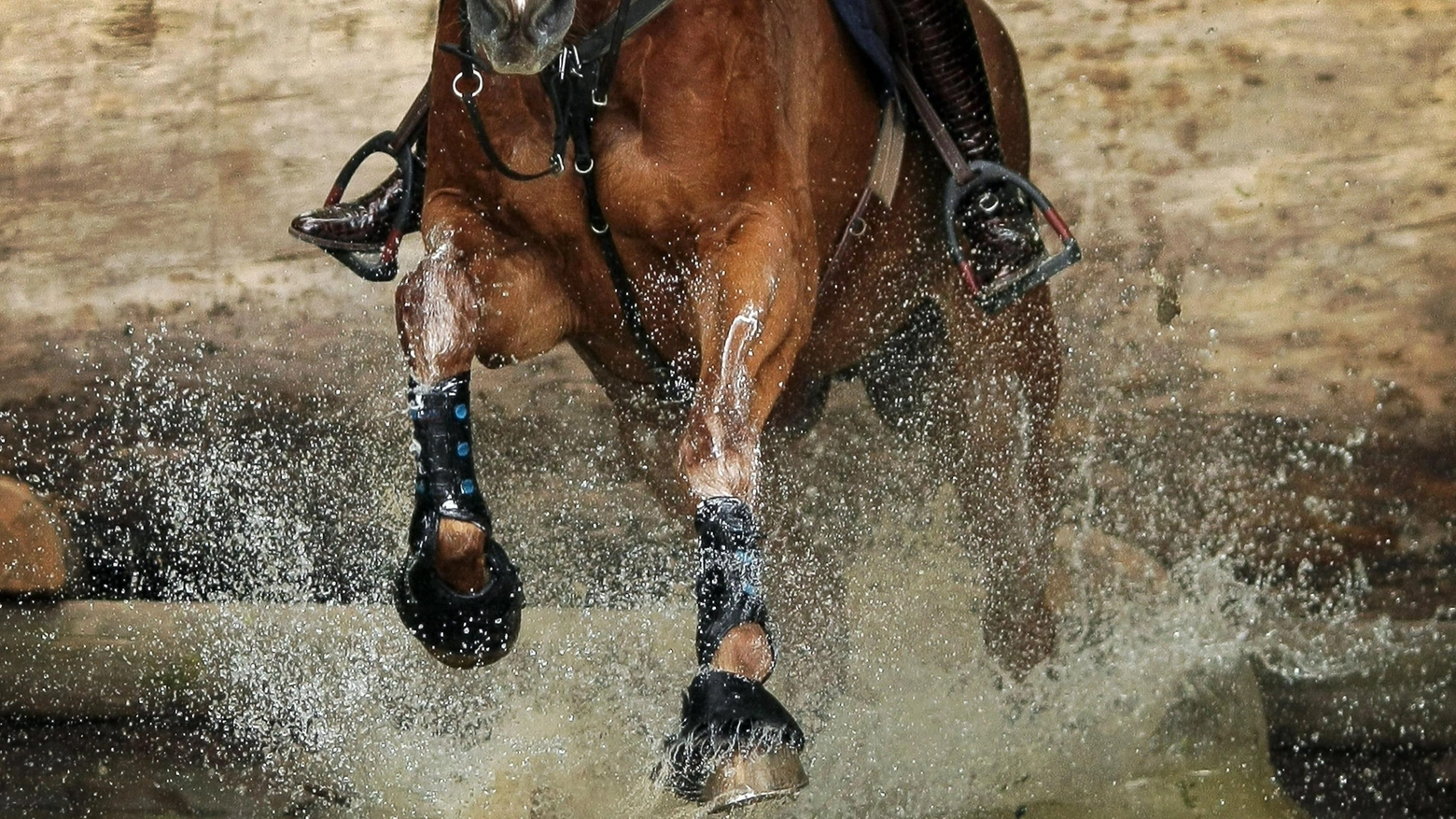 Cavallo durante una corsa (Ansa)