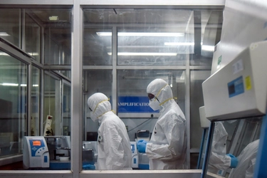 Influenza, in GB rilevato un caso umano di virus suino A/H1N2. “Stiamo monitorando attentamente”