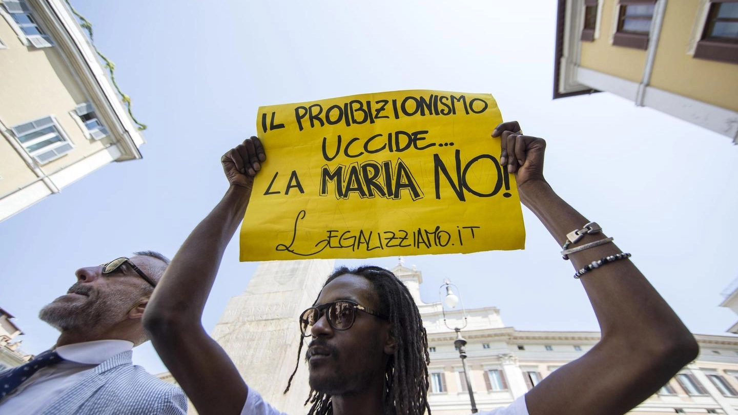 Cannabis, sit in pro-legalizzazione dei radicali in Piazza Montecitorio (Ansa)