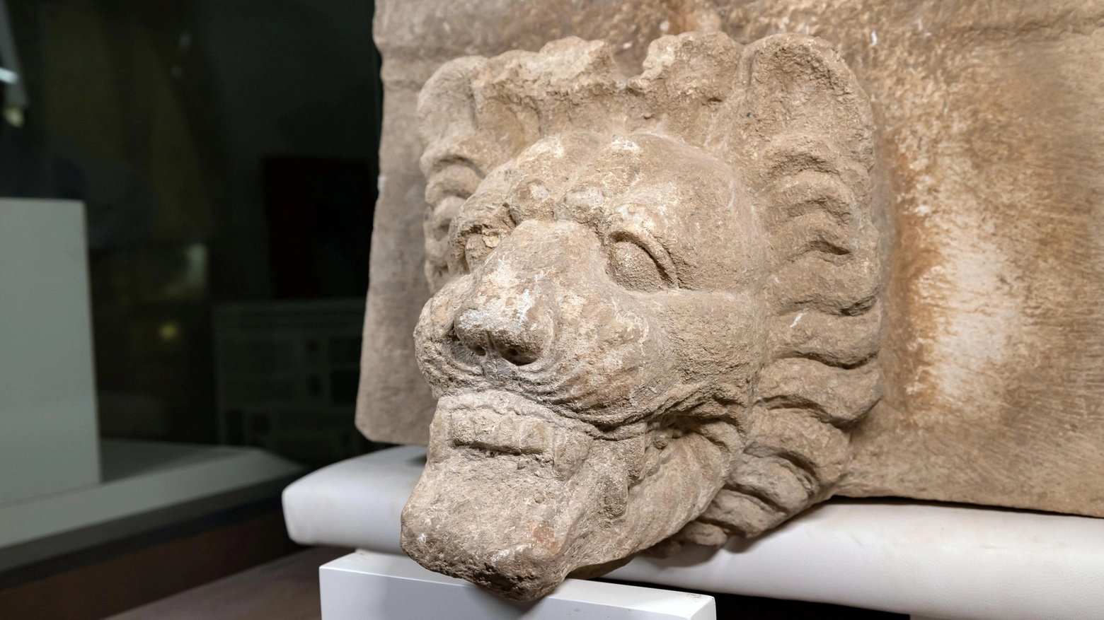 Trovata sima con testa di leone in scavi a Selinunte