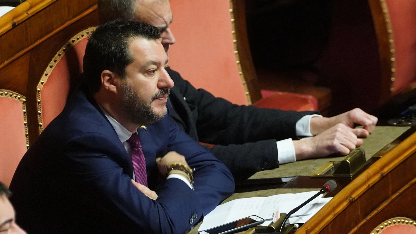 Matteo Salvini in Senato (ImagoE)