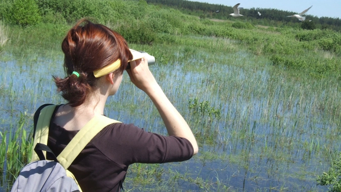 Parco del delta del Po, un sito speciale per il birdwatching