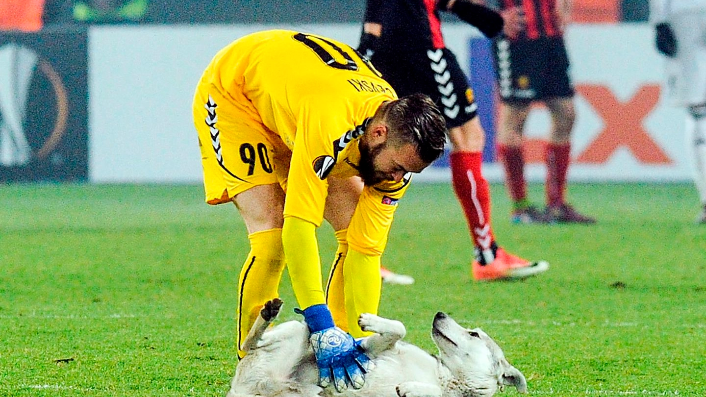 Il portiere Filip Gacevski carezza un cane in campo (Afp)