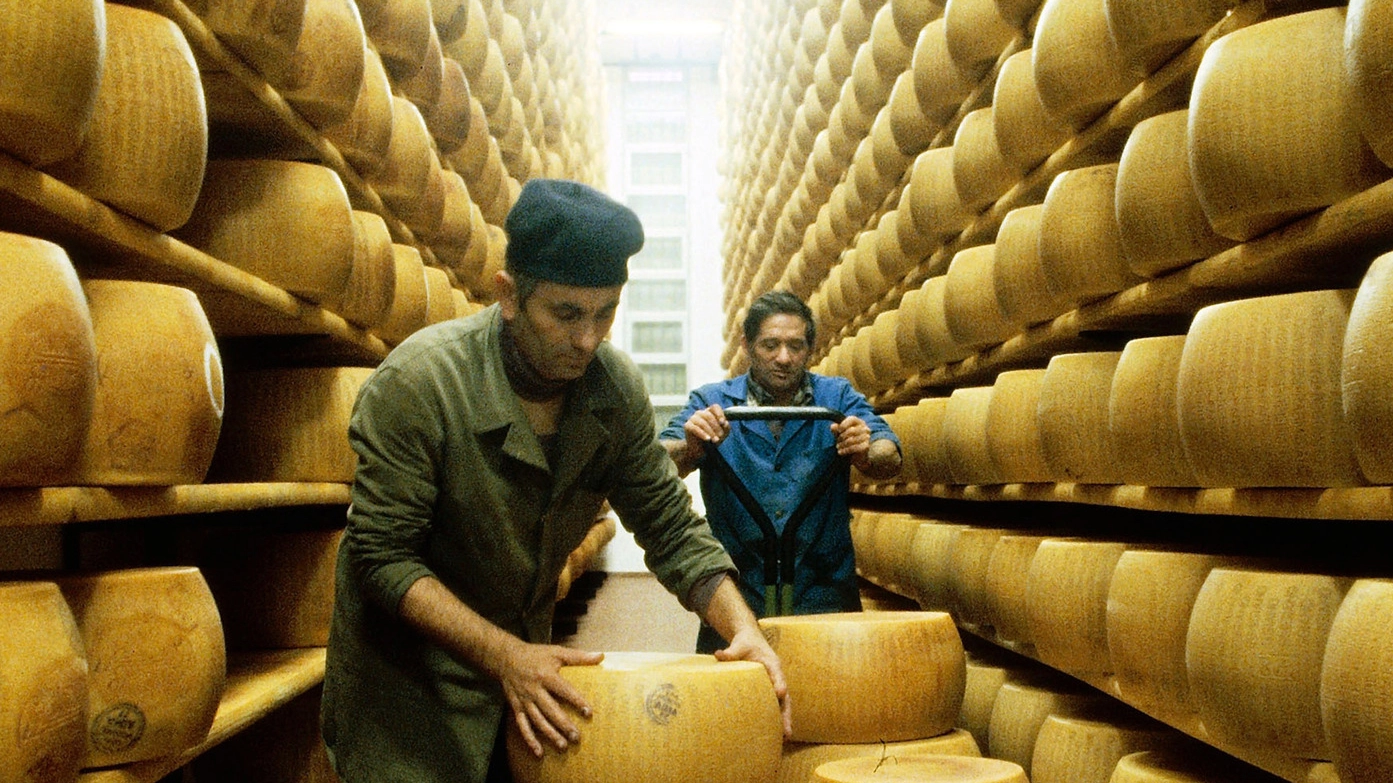 Controlli del parmigiano in un laboratorio italiano (Olycom)