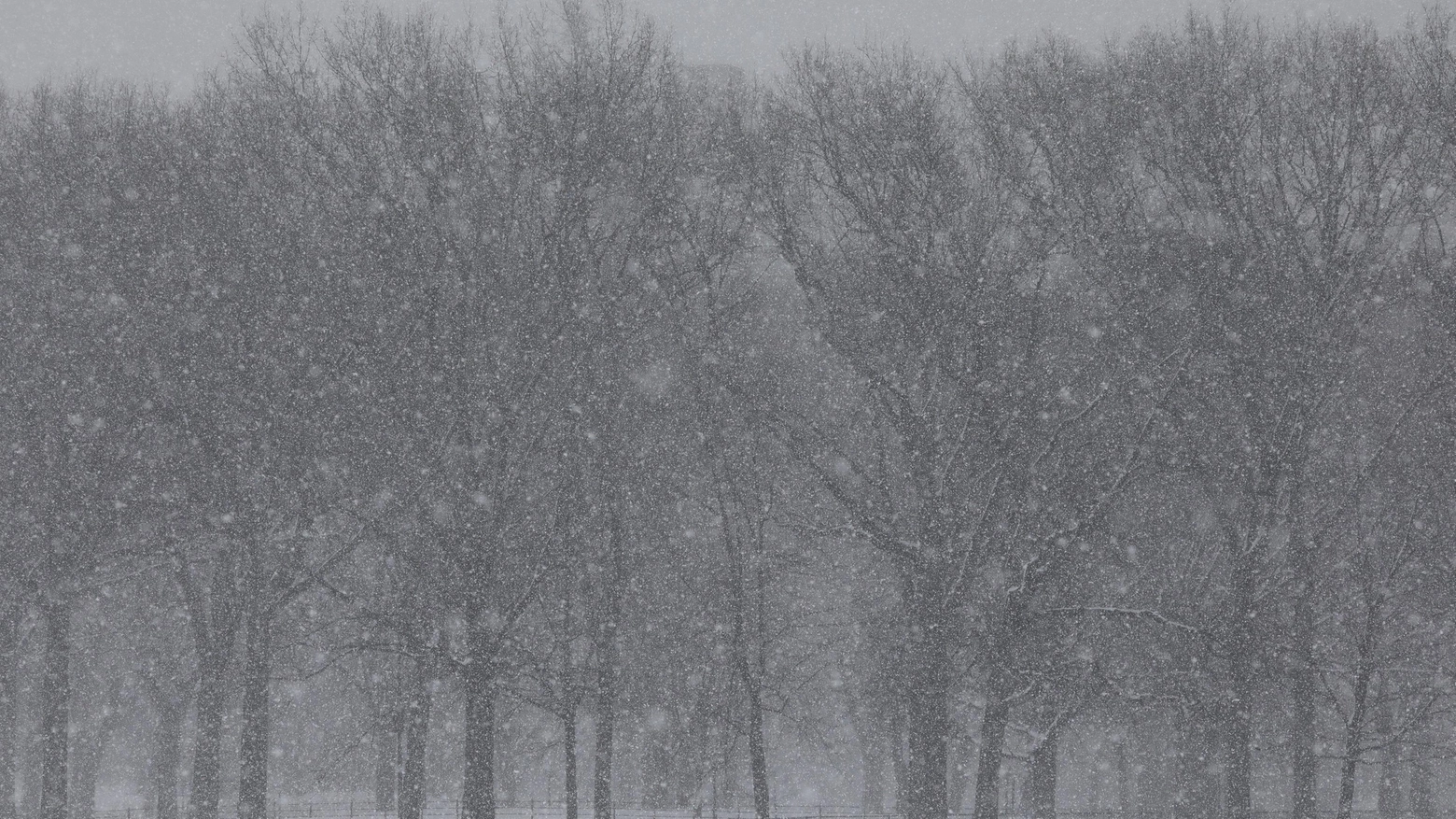 Previsioni meteo, torna la neve. Fiocchi bianchi in un'immagine d'archivio (foto Ansa)
