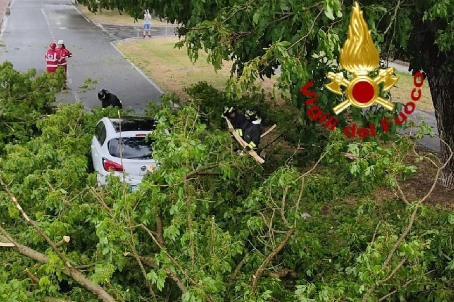 Un albero caduto su un'auto su un'auto a Reggiolo, 22 luglio 2023 (Ansa)