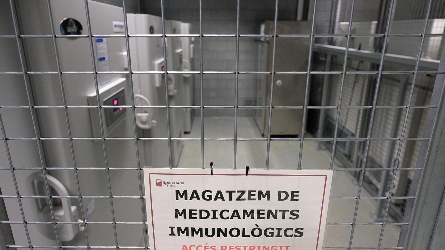 Il centro di stoccaggio dei vaccini in Spagna (Ansa)