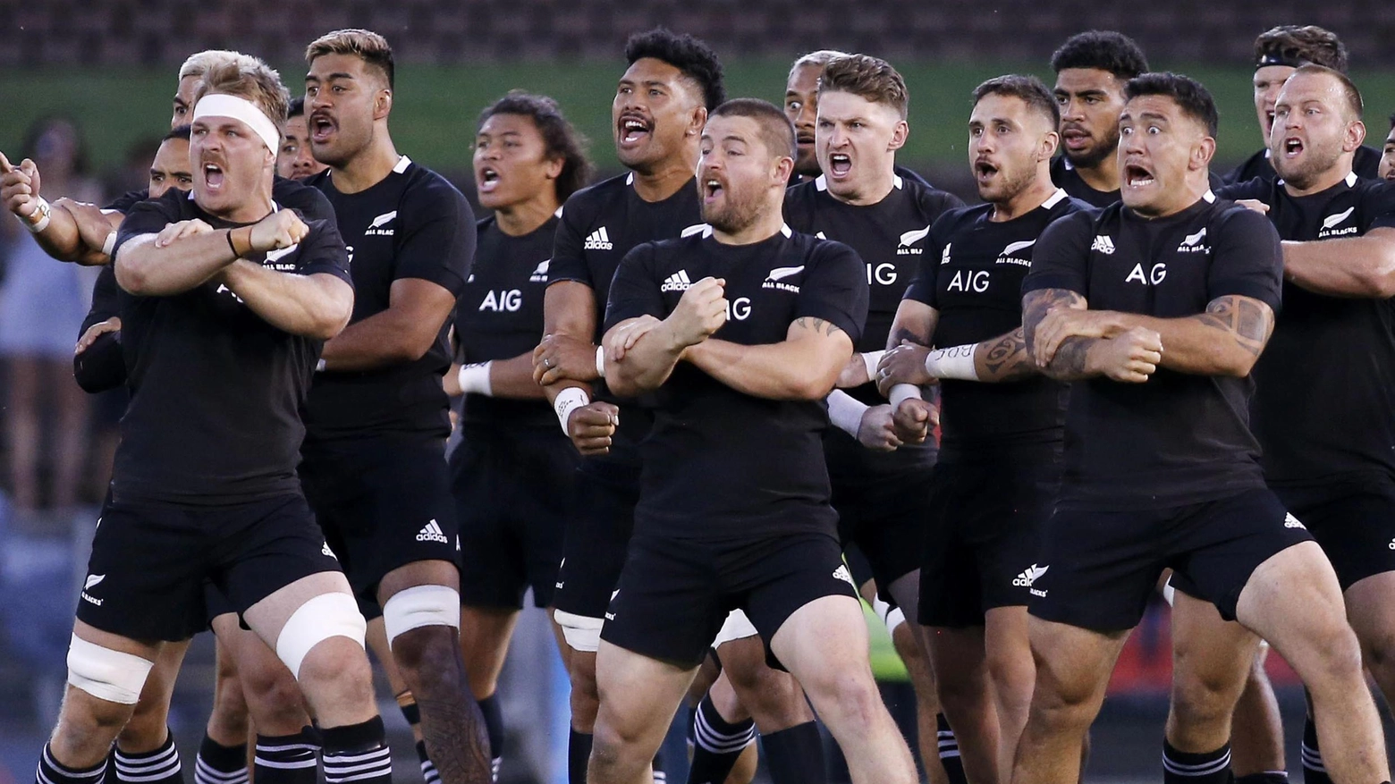 I giocatori della nazionale neozelandese di rugby eseguono la 'haka' prima di una partita