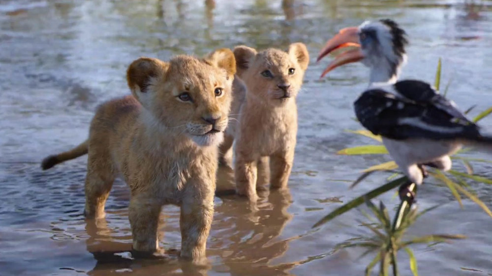 Una scena del film 'Il re leone' - Foto: Walt Disney Pictures