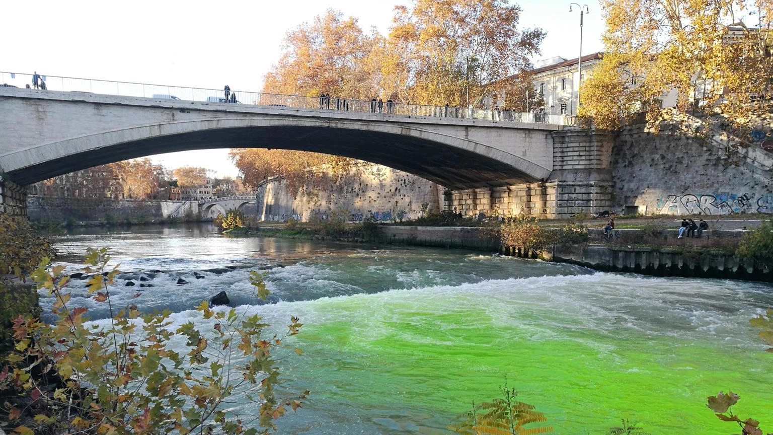 Blitz ambientalisti in cinque città, acque colorate di verde
