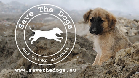 Uno dei manifesti di Save the Dogs