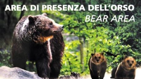 Uno dei cartelli di avvertimento della presenza di orsi (Ansa)