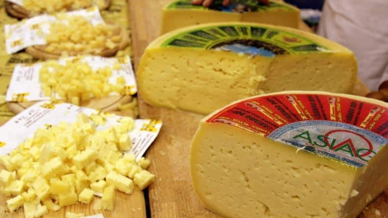 Made in Malga, Asiago celebra il formaggio di montagna