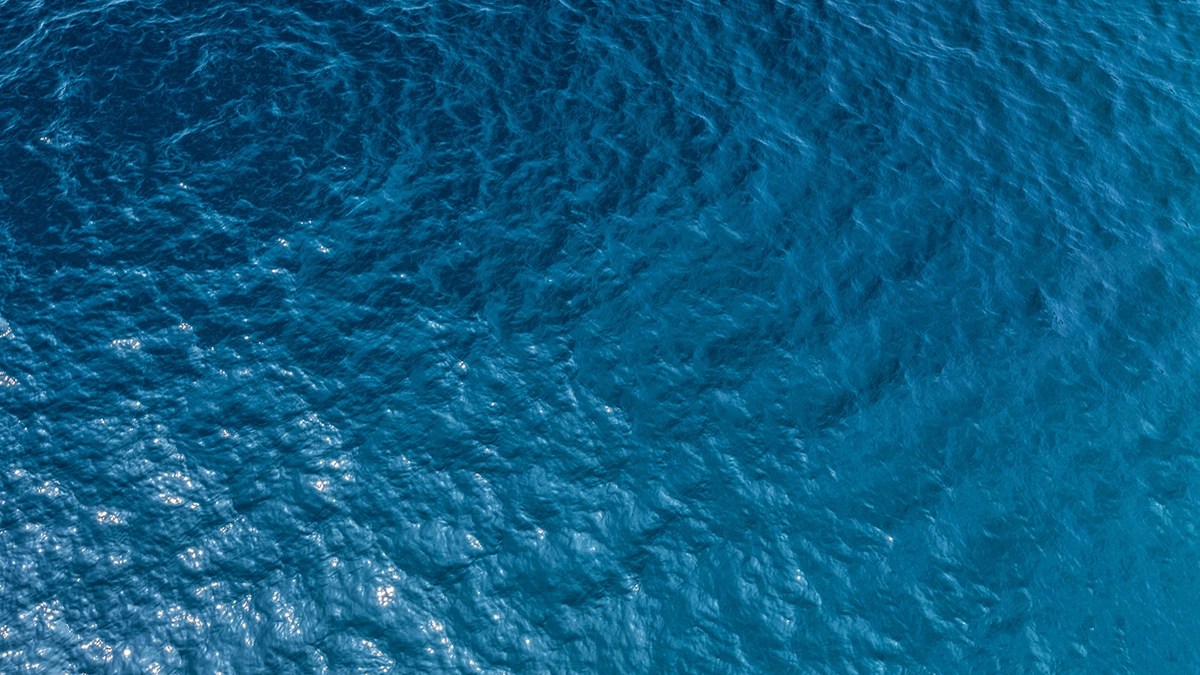 Gli oceani diventeranno più blu o più verdi